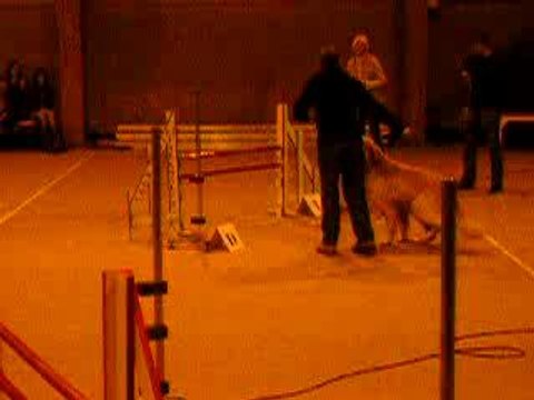 ravel en jumping à isbergues 2006