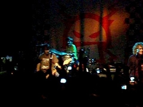 Seven nation army killerpilze 3 février