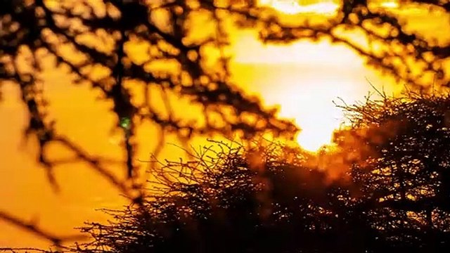 Mein Vater mein Sohn und der Kilimandscharo Film