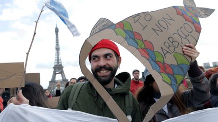 Italy's 'Sardines' pack Rome for anti-far-right rally