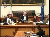 Roma - ​Alitalia, audizione ministro Patuanelli (18.12.19)