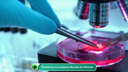 Brasileiros na Academia Mundial de Ciências