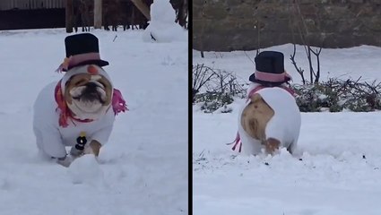 There's A New Frosty In Town