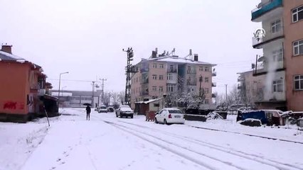 Doğuda soğuk hava etkili oluyor - Hayvanlarını otlatmak için mücadele veren besiciler
