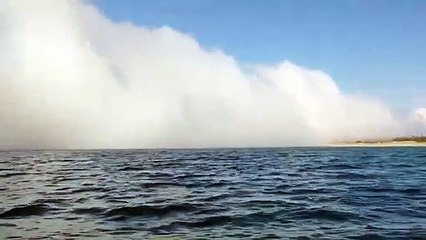 Ce brouillard qui s'approche de la côte est impressionnant