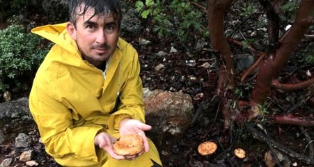 Çıntar mantarını 5 saatte toplayıp, kilogramını 50 TL'den satıyorlar