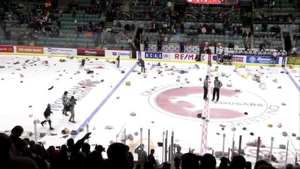 Highlights: Royals (2) at Cougars (4)