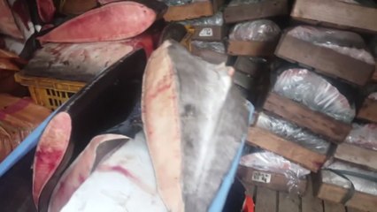 경찰 "고래고기 사건, 계속 수사 중인 사안" / YTN