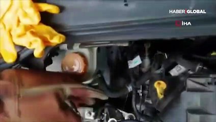 Motora sıkışan kedinin yardımına itfaiye koştu