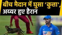 India vs West Indies, 1st ODI : Dog Interrupts play, Shreyas Iyer gets surprised | वनइंडिया हिंदी
