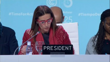 Acuerdo en la cumbre del clima de Madrid para ser más ambiciosos desde 2020