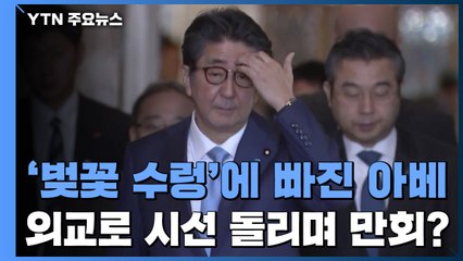 '벚꽃 수렁'에 빠진 아베...외교로 시선 돌리며 만회? / YTN