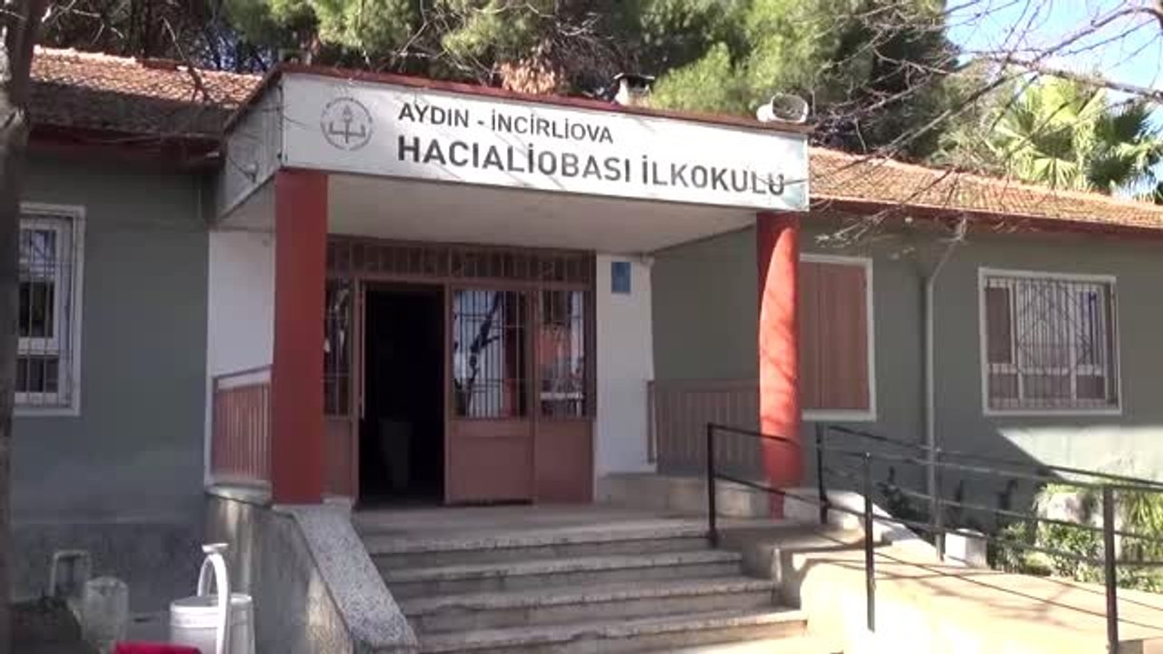 İncirliova'da deve güreşi festivali, ilkokul için yapıldı