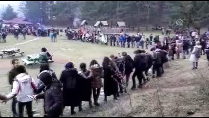 Abant'taki hamsi festivalinde öğrencilere 1 ton hamsi ikram edildi