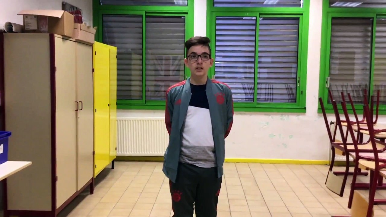 Collège Fernand Berthon - Projet ERASMUS +,  2019/2021 (All)