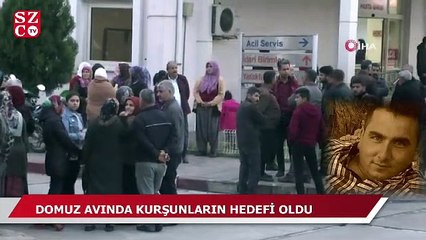 Domuz avında kurşunların hedefi oldu