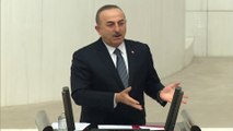 Dışişleri Bakanı Çavuşoğlu: 'Kıbrıs’ta hep kalıcı barış için çalıştık' - TBMM
