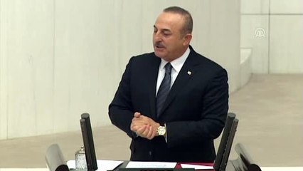 Dışişleri Bakanı Çavuşoğlu: "Uygur Türkleri konusunda sessiz kalmamız mümkün değildir"