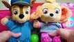 Paw Patrol's Skye and Chase's fun day at the Playground and No Bullying at School Baby Pups Videos-