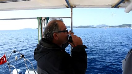 Yelken: Dragon Sonbahar Serisi Yarışları - MUĞLA