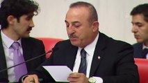 2020 Yılı Bütçesi TBMM Genel Kurulunda - Dışişleri Bakanı Çavuşoğlu, soruları yanıtladı (1) - TBMM