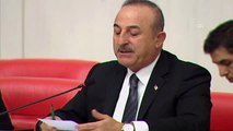 2020 Yılı Bütçesi TBMM Genel Kurulunda - Dışişleri Bakanı Çavuşoğlu soruları yanıtladı (2) - TBMM
