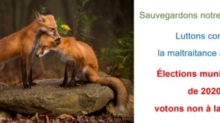 Votons aux élections municipales de 2020 pour des candidats opposés  à la chasse