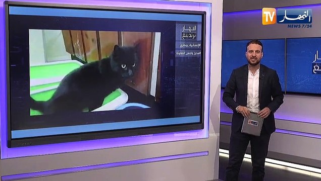 النهار ترندينغ: إنسانية طبيب جزائري ورياض محرز يصنع الحدث في منشستر سيتي