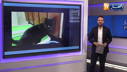 النهار ترندينغ: إنسانية طبيب جزائري ورياض محرز يصنع الحدث في منشستر سيتي