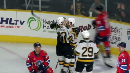 AHL Springfield Thunderbirds 0 at Providence Bruins 5