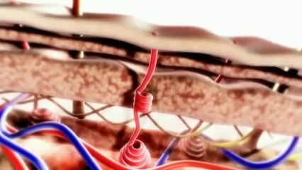 Jesus The Real Story Episode 3 The Last Days Part 2