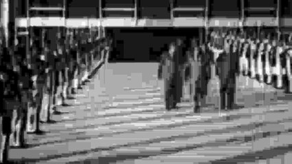 A Culpa é da Foto | Blame it on the Picture - COMPETIÇÃO BRASILEIRA: CURTAS-METRAGENS