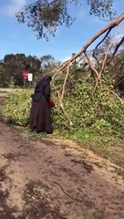 La monja de la motosierra que limpia destrozos tras Irma se hace viral