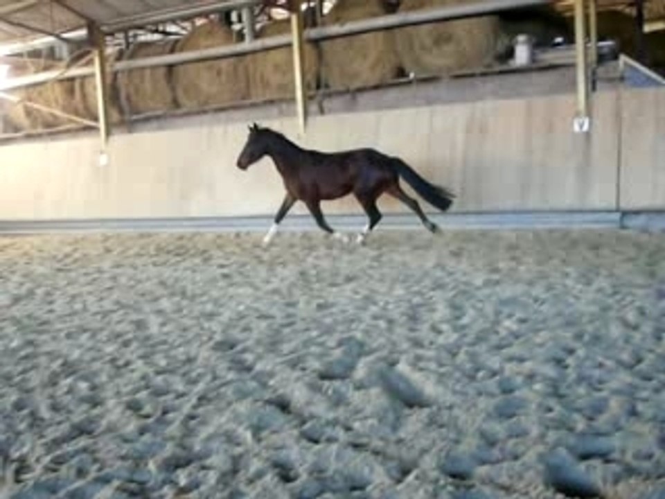 Récif premiers sauts