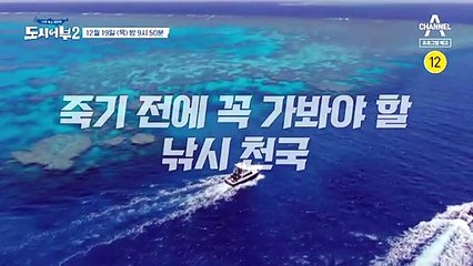 [예고] 고기 천국! 호주 낚시! 도시어부2: 대항해시대 in Australia