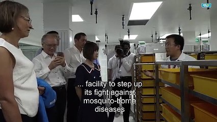 Singapore unveils new mosquito facility in fight against dengue