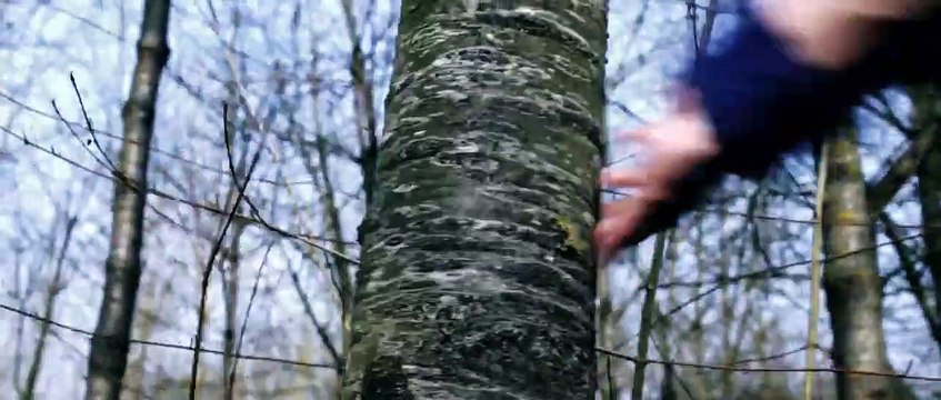 Dragon Ball Z: The Fall Of Men [Test Footage]