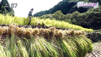 はるなの故郷～ダムの里に生まれて～