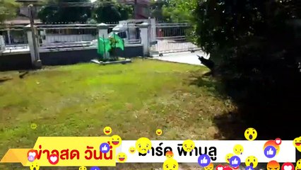 ‼ มาร์ค พิทบลู ‼ คนจน ที่ติดคุกส่าไง เอ๋ 1,700 รอด ประชาชนจะยอมไม๊ จับคน จน ได้อย่างเดียวหรอ