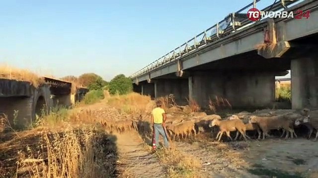 Transumanza, patrimonio. Unesco. Chanche per economia e turismo