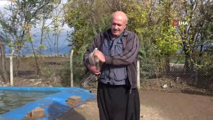 İnternetten ek iş araştırdı 'kaz'a yatırım yaptı