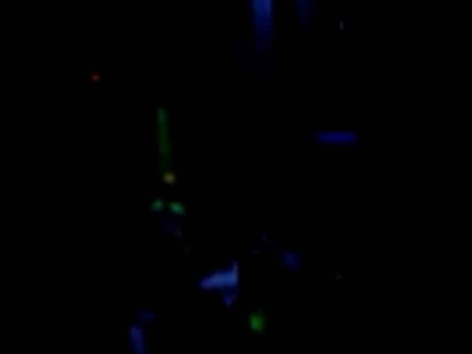 grosse soirée au maya