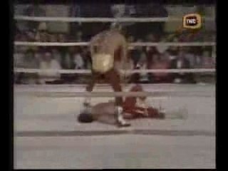 Dynamite Kid Vs The Cobra