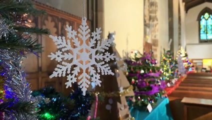 What You Like To See Under Your Tree?