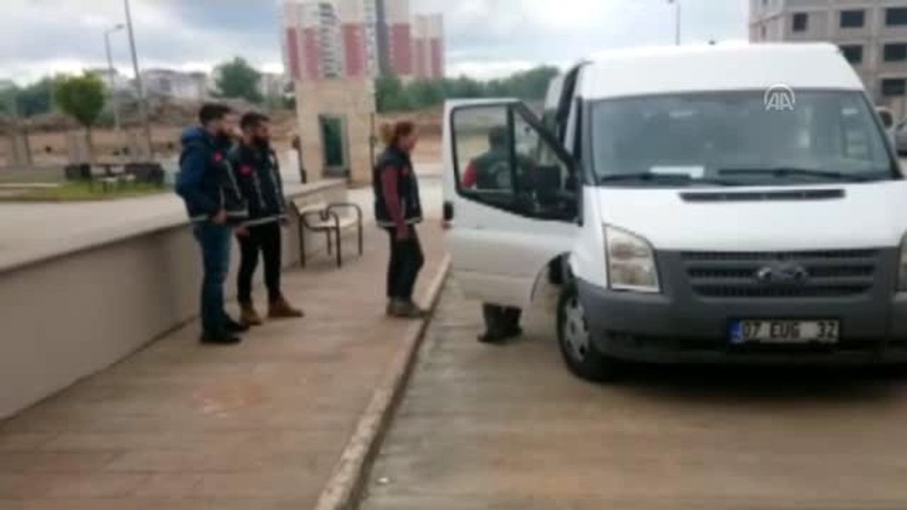 Fuhuş operasyonunda 12 şüpheli yakalandı