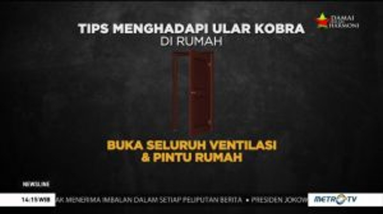 Tips Menghadapi Ular Kobra di Rumah