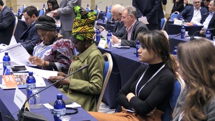 Avrupa Konseyi Parlamenter Meclisinden Gürcistan'da 'diaspora' konferansı - TİFLİS