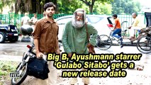 Big B, Ayushmann starrer 