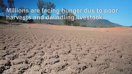 Five years of thirst: S.Africa's Eastern Cape battles brutal drought