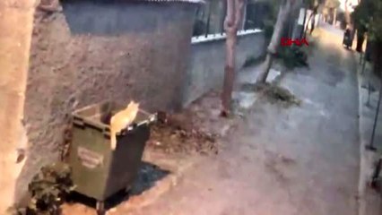 Adli tıp, ingiliz eski istihbarat subayının ölüm nedenini açıkladı